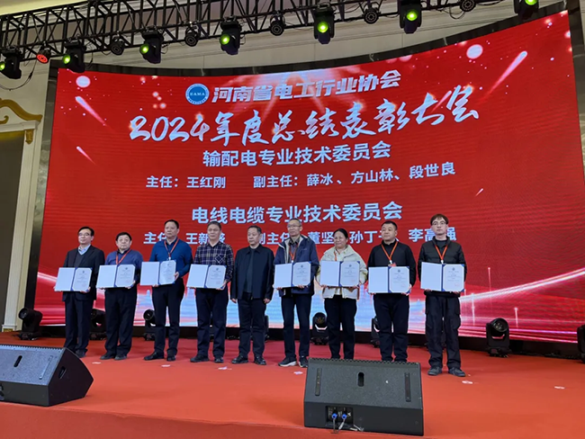 索凌電氣榮獲河南省電工行業(yè)雙優(yōu)稱號(hào)， 持續(xù)助力電力行業(yè)發(fā)展